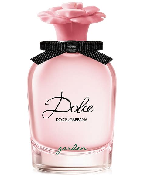 parfum dolce gabbana dolce